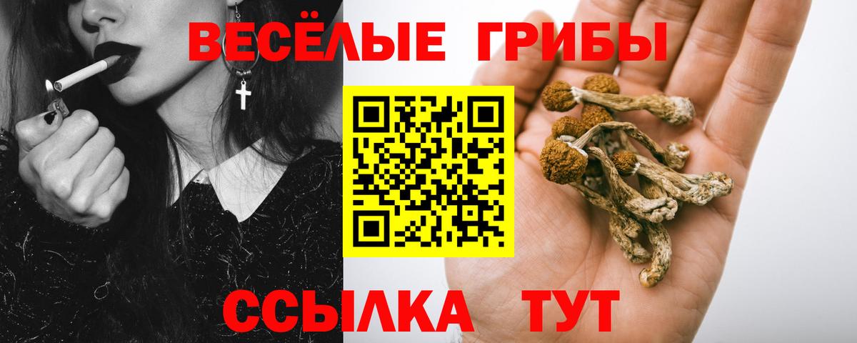 Псилоцибиновые грибы GOLDEN TEACHER  Вход с VPN  закладки  Каменка  Псилоцибиновые грибы Magic Shrooms 